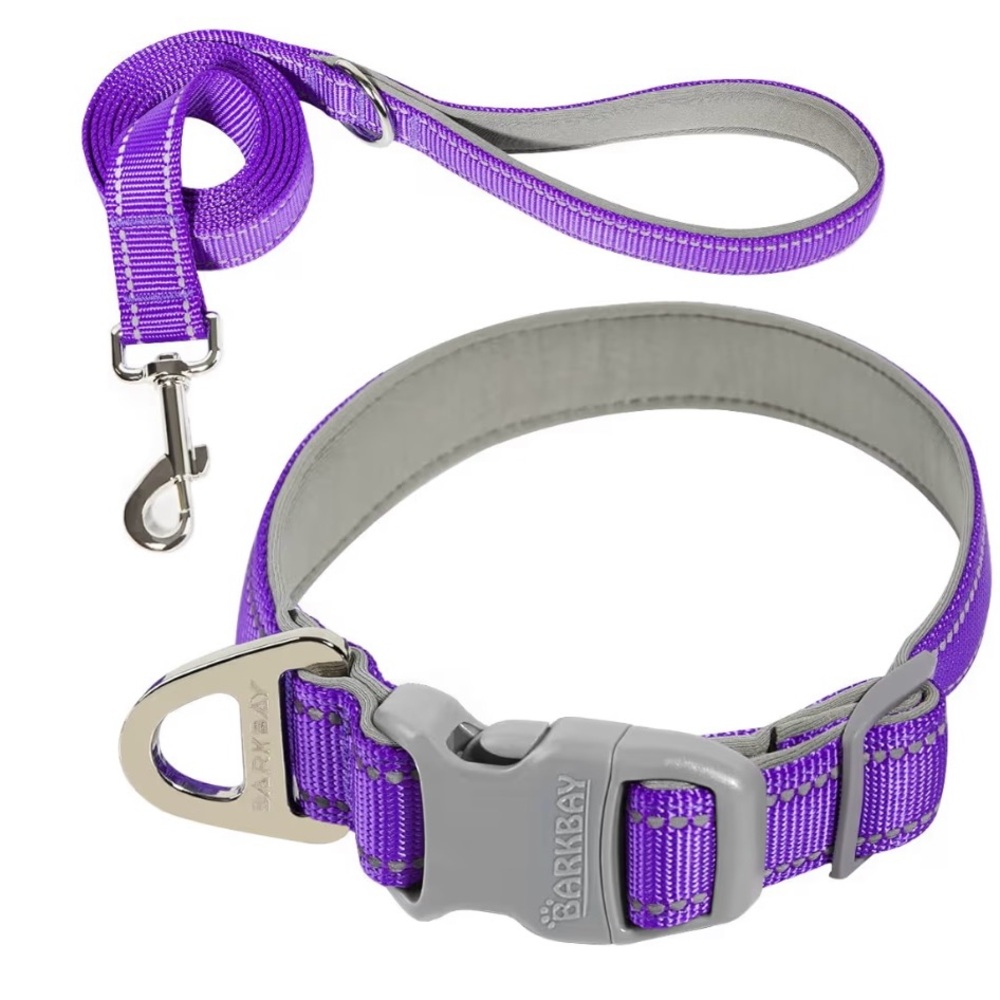 Purple Dog Collar and Leash Set